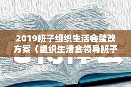 2019班子组织生活会整改方案（组织生活会领导班子整改清单内容）