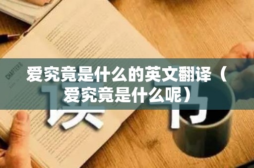 爱究竟是什么的英文翻译（爱究竟是什么呢）