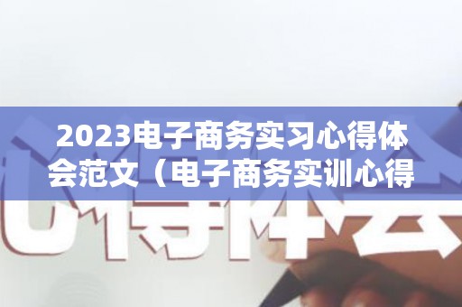 2023电子商务实习心得体会范文（电子商务实训心得500字左右）