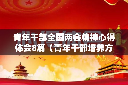 青年干部全国两会精神心得体会8篇（青年干部培养方案意见建议怎么写）