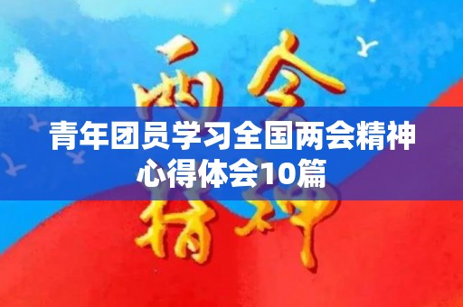青年团员学习全国两会精神心得体会10篇