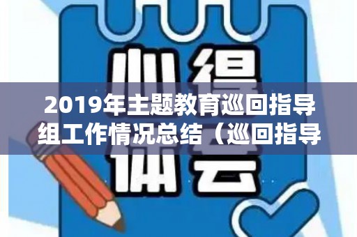 2019年主题教育巡回指导组工作情况总结（巡回指导组在专题研讨会上的发言）