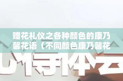 赠花礼仪之各种颜色的康乃馨花语（不同颜色康乃馨花语大全）