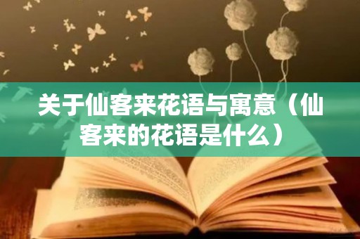 关于仙客来花语与寓意（仙客来的花语是什么）
