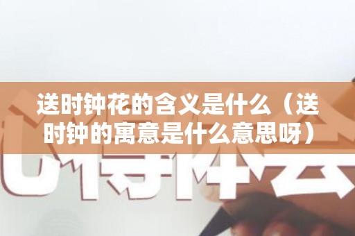 送时钟花的含义是什么（送时钟的寓意是什么意思呀）