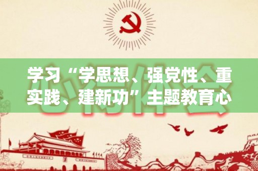 学习“学思想、强党性、重实践、建新功”主题教育心得体会(学党史悟思想强党性增信念)