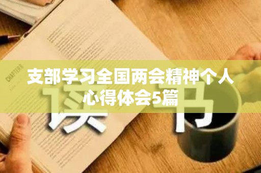 支部学习全国两会精神个人心得体会5篇