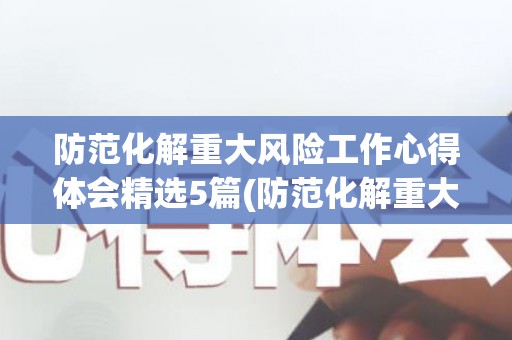 防范化解重大风险工作心得体会精选5篇(防范化解重大风险汇报材料范文)