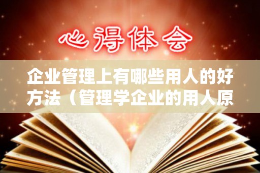 企业管理上有哪些用人的好方法（管理学企业的用人原则）